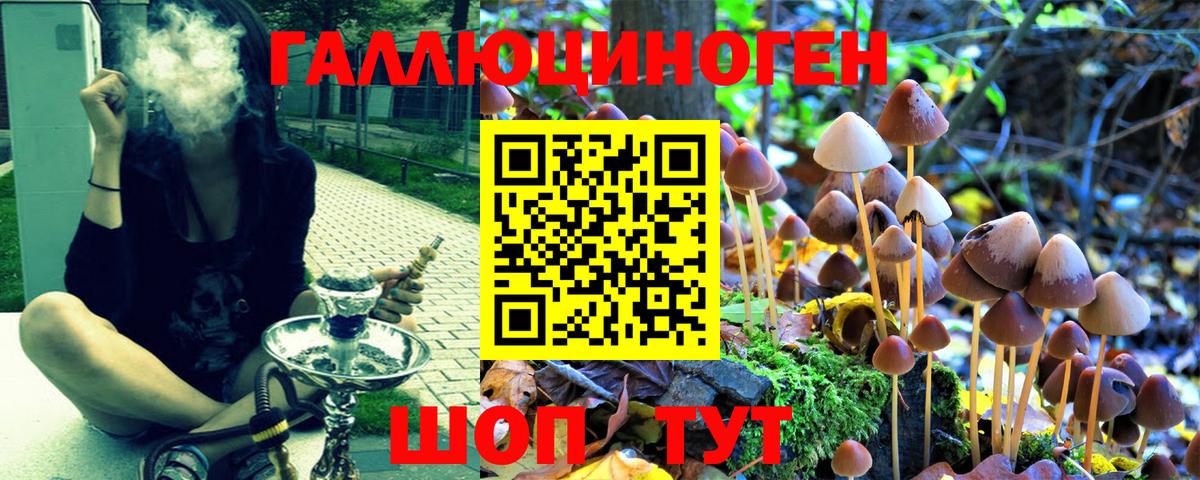 Галлюциногенные грибы MAGIC MUSHROOMS  Псилоцибиновые грибы Cubensis  Кинешма  Вход с VPN 