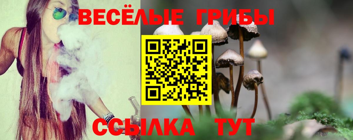 Галлюциногенные грибы прущие грибы Кинешма